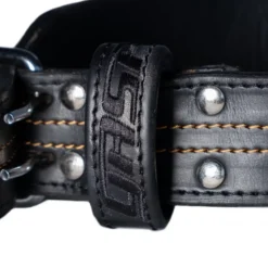 GASP Lifting Belt
