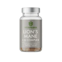 Vitaprana Lion´s Mane + B complex, 50 caps