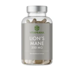 Vitaprana Lion´s Mane, 500 mg, 100 caps